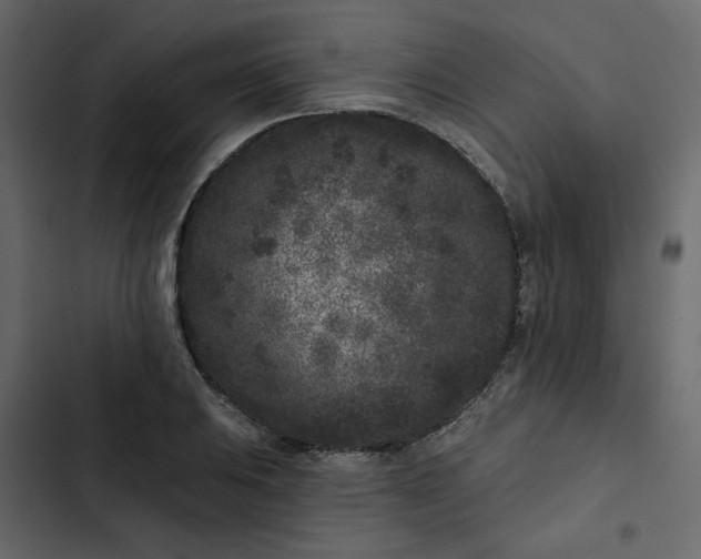 X0000102831031200809021309