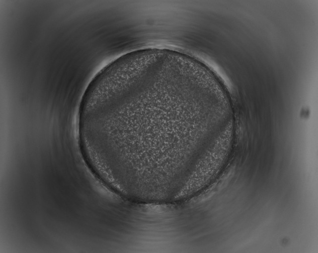 X0000102831032200809021309