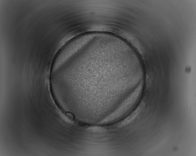 X0000102831033200809021309