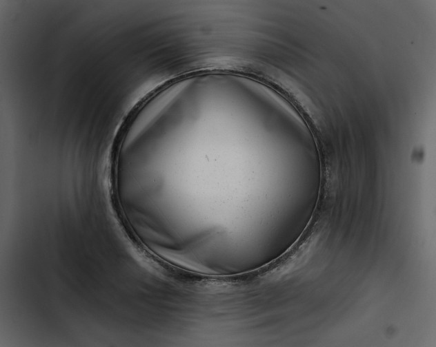 X0000102831034200809021309