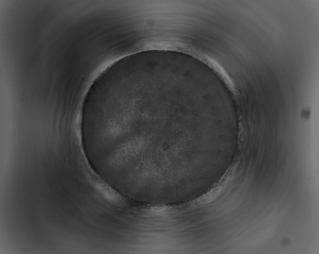 X0000102831035200809021309