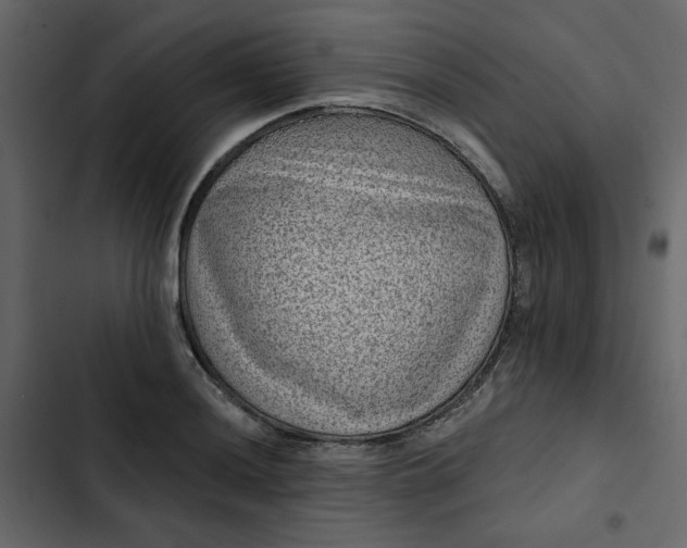 X0000102831036200809021309