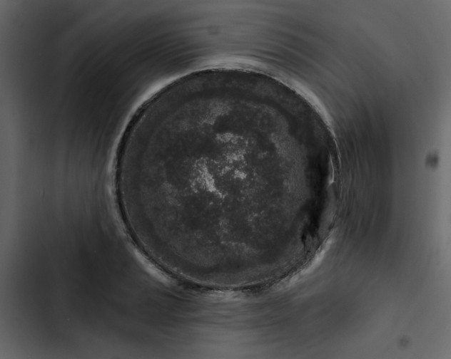 X0000102831037200809021309