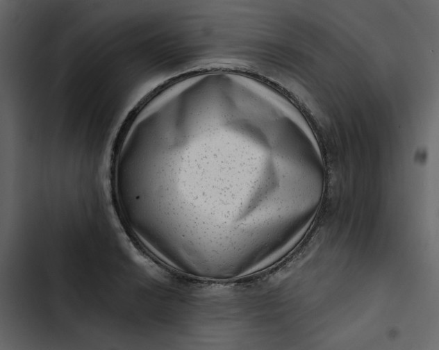 X0000102831038200809021309