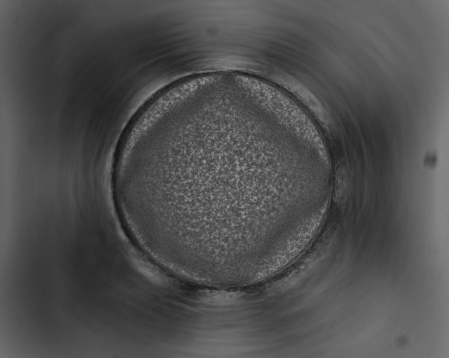 X0000102831039200809021309