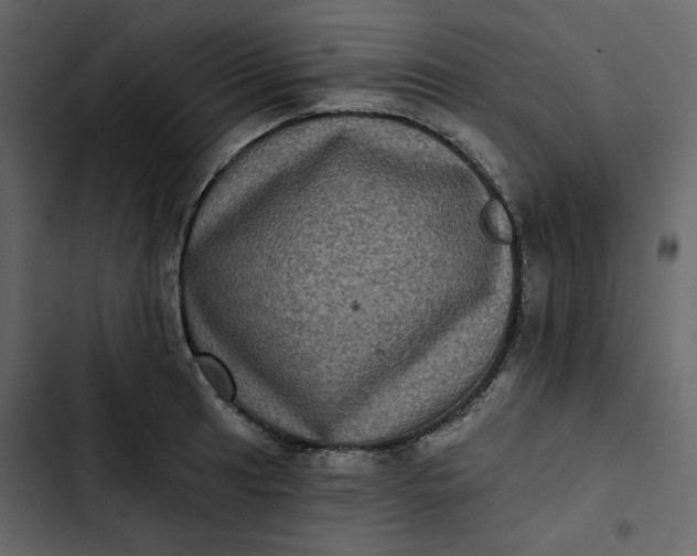 X0000102831041200809021309