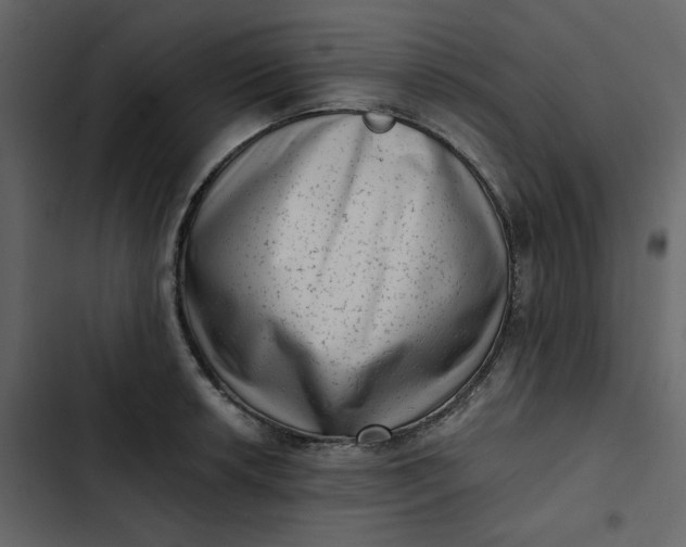 X0000102831042200809021309