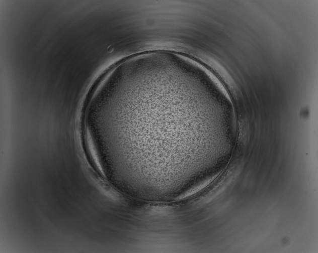 X0000102831043200809021309