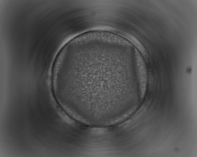 X0000102831044200809021309