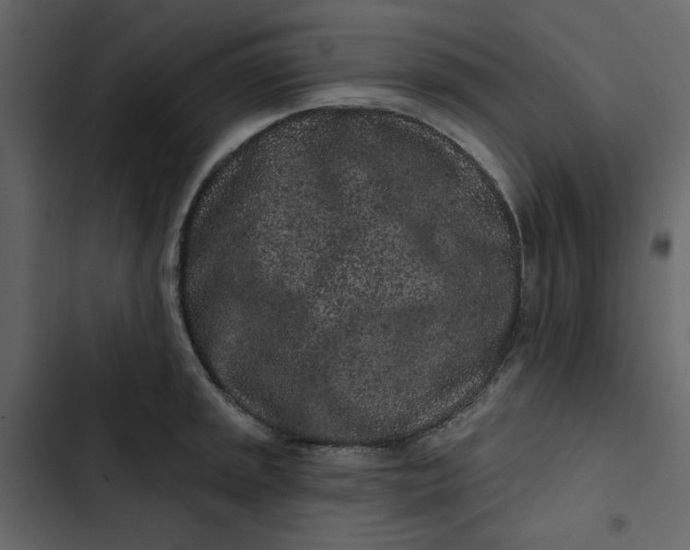 X0000102831045200809021309