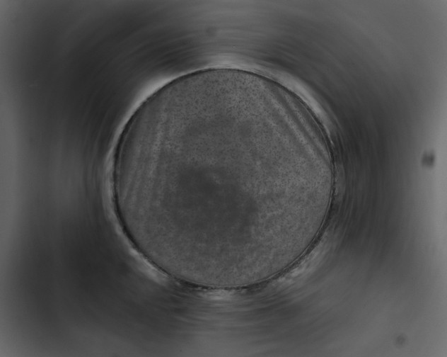 X0000102831048200809021309