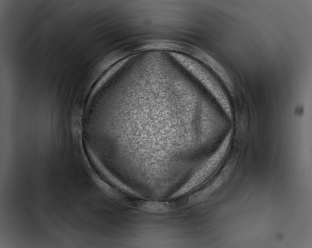 X0000102831049200809021309