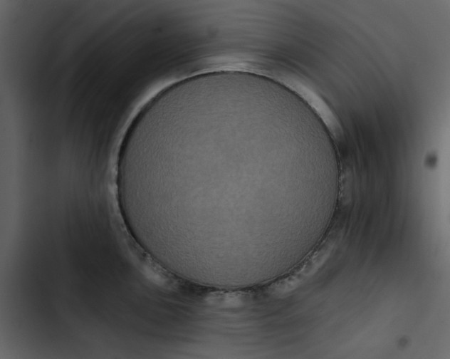 X0000102831051200809021309