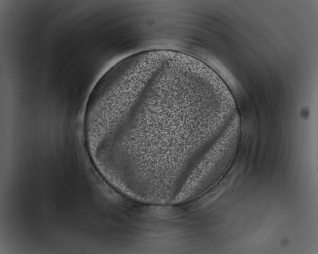 X0000102831052200809021309