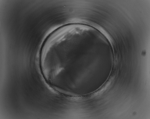 X0000102831053200809021309