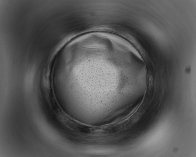 X0000102831054200809021309