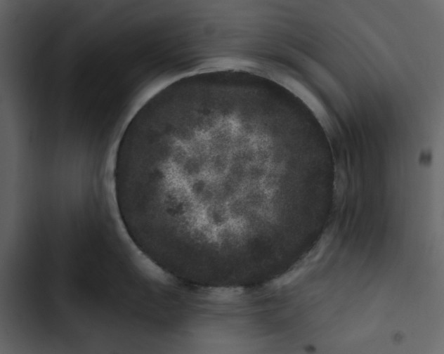 X0000102831055200809021309