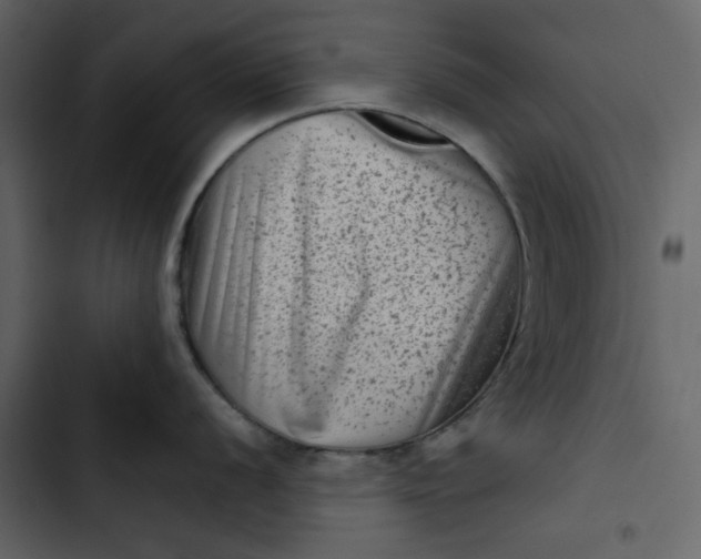 X0000102831056200809021309