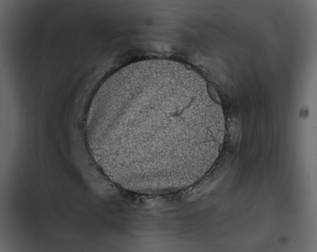 X0000102831057200809021308