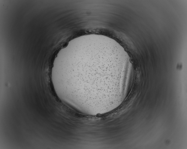 X0000102831060200809021308