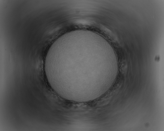 X0000102831061200809021308