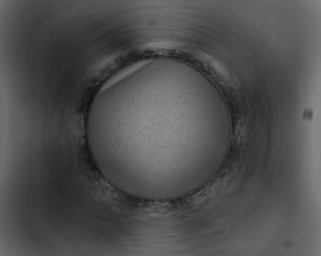 X0000102831062200809021308