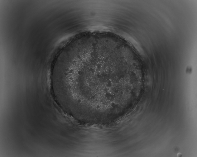 X0000102831063200809021308