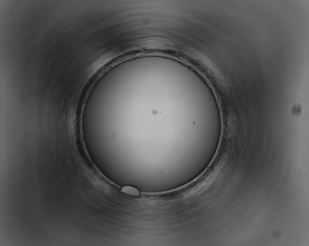 X0000102831065200809021308