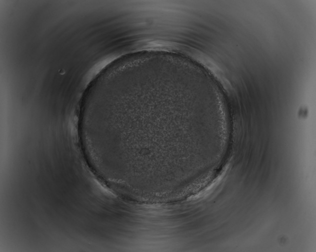 X0000102831066200809021308