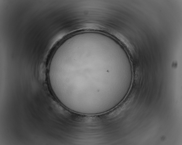 X0000102831067200809021308