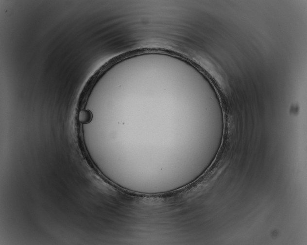 X0000102831068200809021308