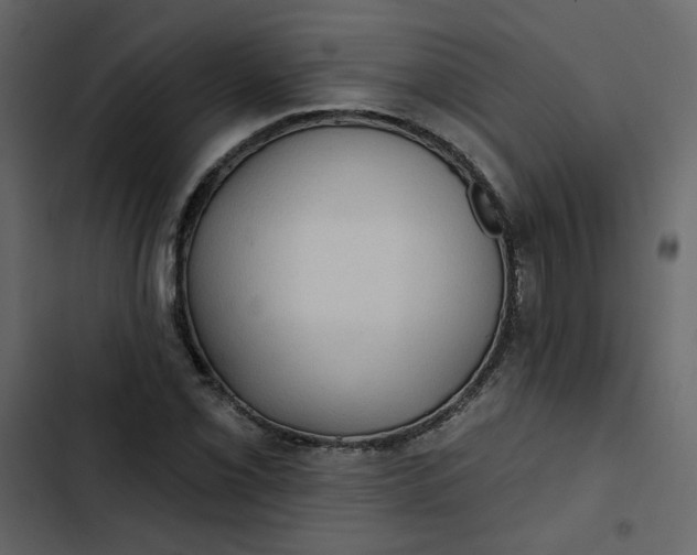 X0000102831069200809021308