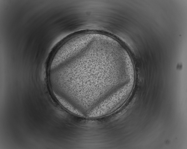 X0000102831070200809021308