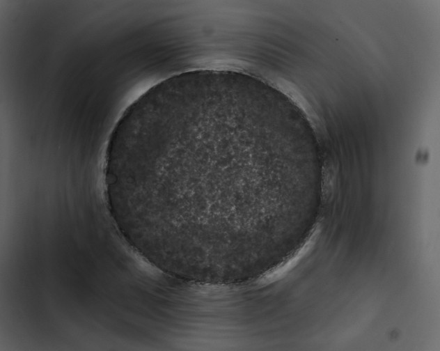 X0000102831071200809021308