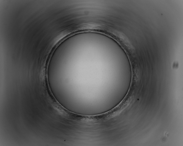 X0000102831073200809021308