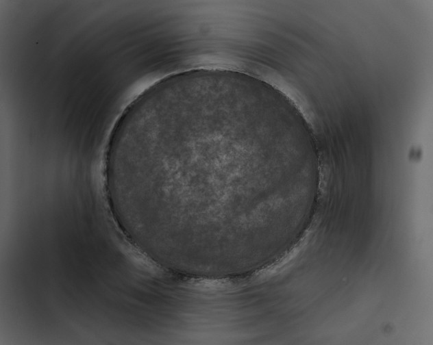 X0000102831074200809021308