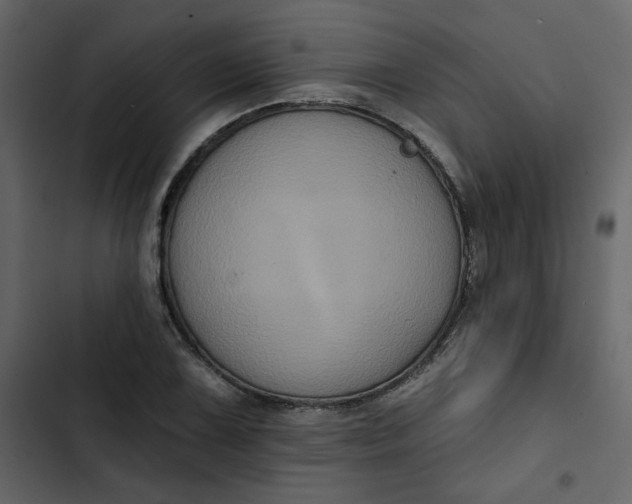 X0000102831075200809021308