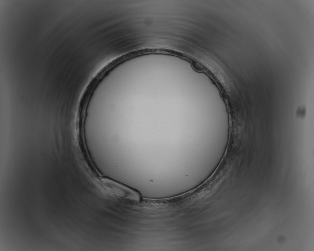 X0000102831076200809021308