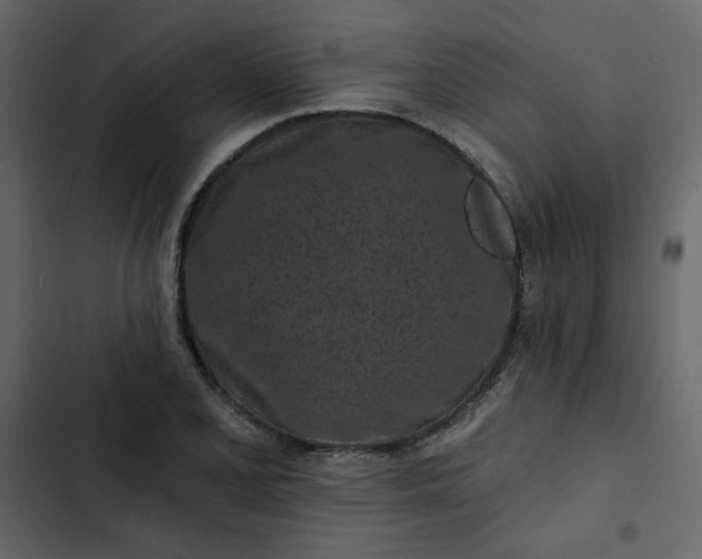 X0000102831077200809021308