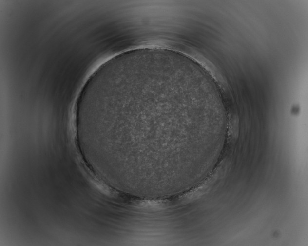 X0000102831078200809021308