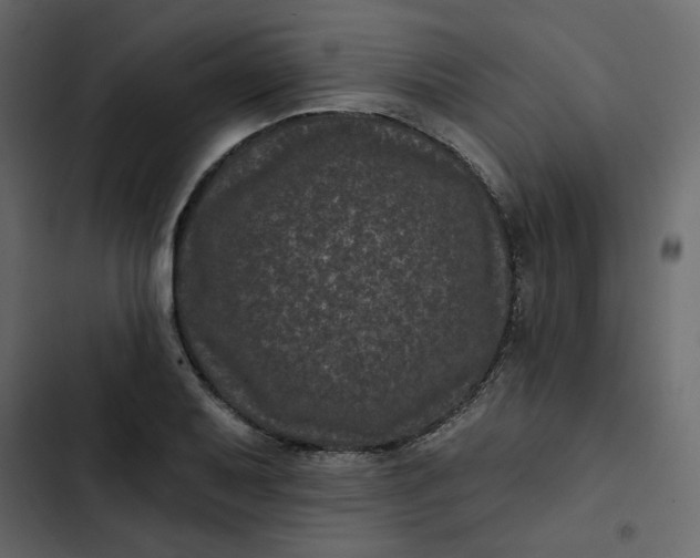 X0000102831079200809021308