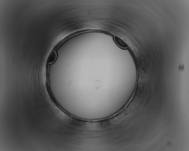 X0000102831080200809021308