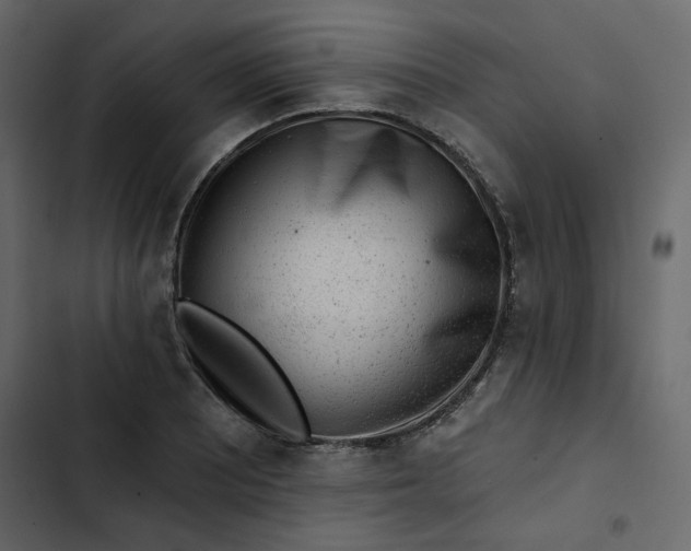 X0000102831081200809021308