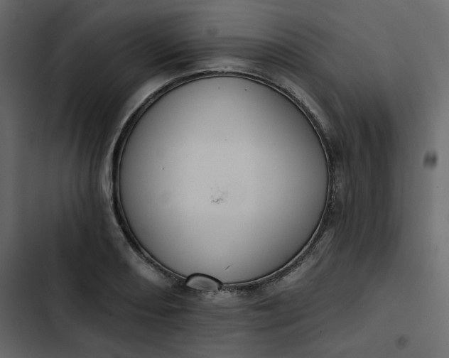 X0000102831082200809021308