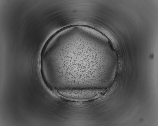 X0000102831084200809021308