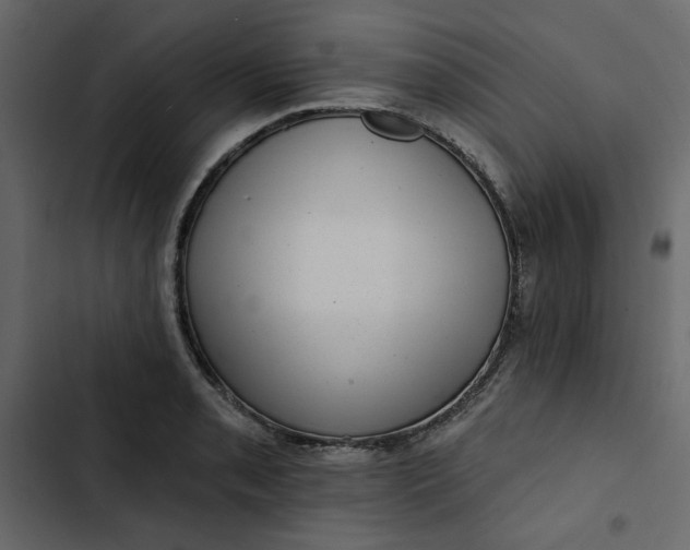 X0000102831085200809021308