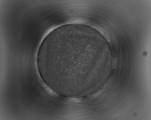 X0000102831086200809021308