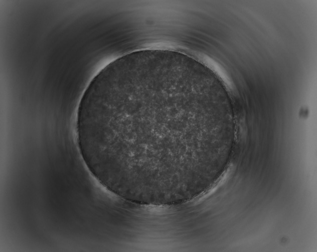 X0000102831087200809021308