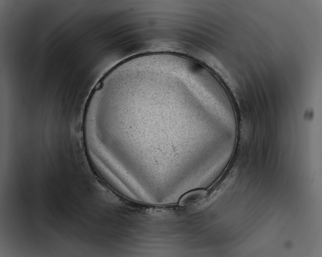 X0000102831089200809021308