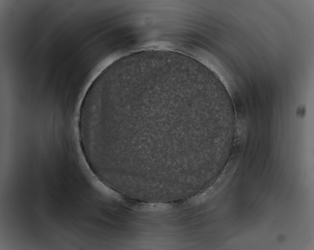 X0000102831090200809021308